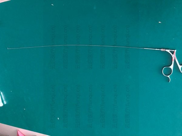 wolf  8952.611取卵鉗   鉚釘脫落