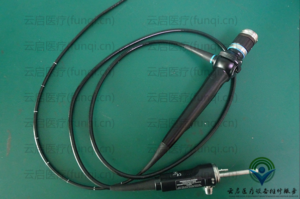 Olympus BF P60 支氣管鏡 600小 水印 1038.jpg