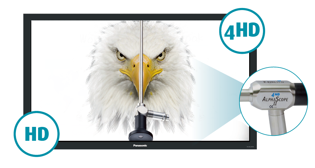 16389318175487.png 吉米技術3.png